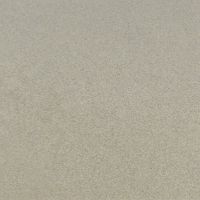 Metalic Beige Metal